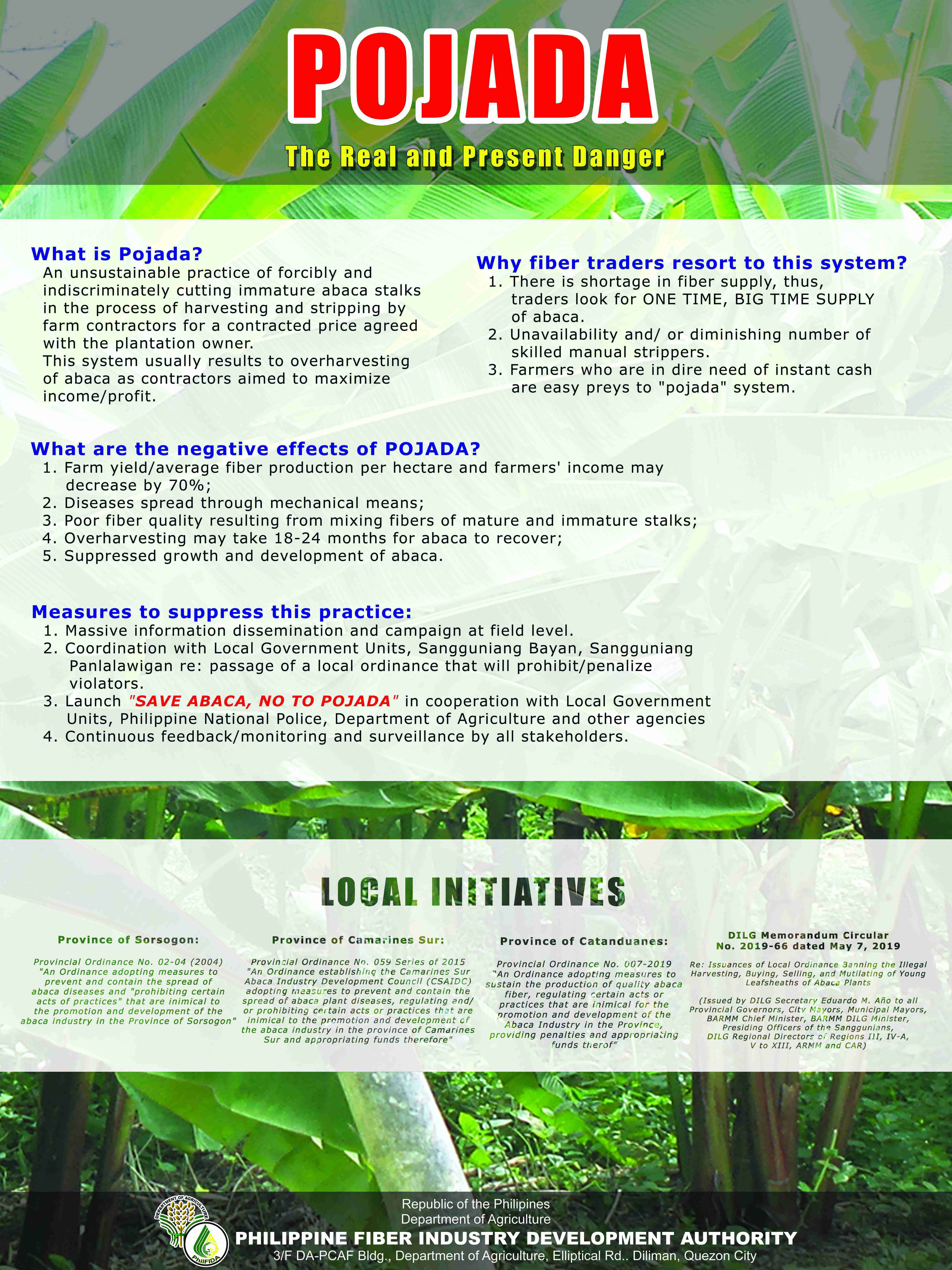 Department Circular No. 01 General Guidelines for the Accreditation of Abaca Plant (Musa Textilis Nee) Nurseries (AAPN)