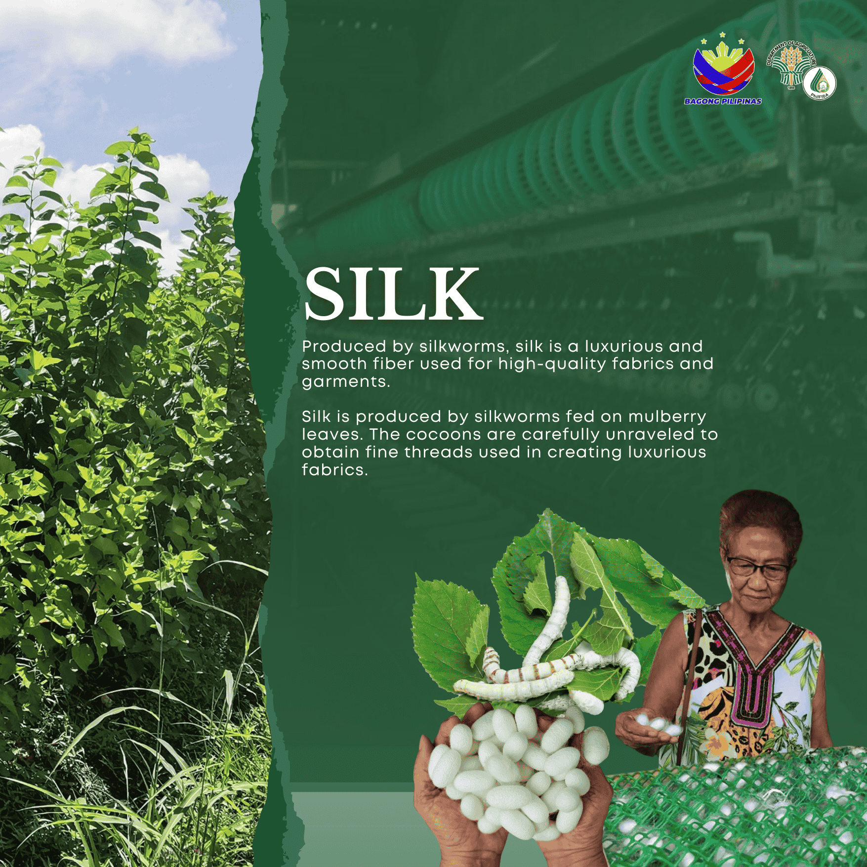 About Silk Fiber