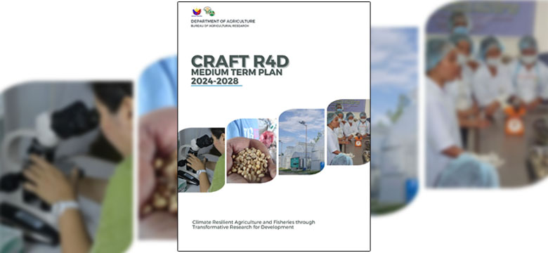 Announcing the CRAFT R4D Medium Term Plan 2024 – 2028