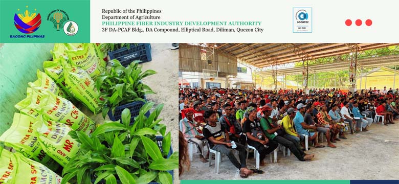 PhilFIDA’s Support in the Provincial Government’s Initiative to Support Abaca Crisis-Affected Farmers in Talaingod