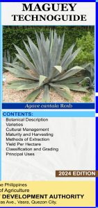 Maguey Technoguide