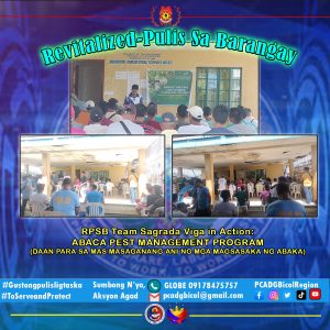 Abaca Pest Management Program: Daan para sa mas Masaganang Ani ng mga Magsasaka ng Abaka