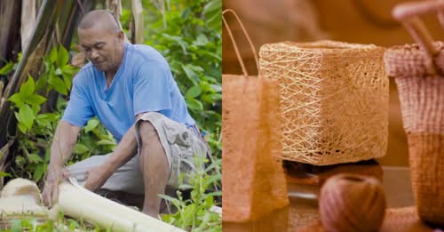 ABACA: The Pride and Strength of Filipino Fiber Farmers